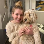Lucy Petersen 🐶 - @lucy.the.labradoodle1 - Instagram