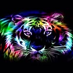 Lucy Pettitt - @lucy_2005_ - Instagram