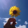 Lucy_pickering - @lucy....pickering - TikTok
