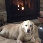 Lucy Post - @postm623 - Instagram