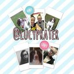 Lucy Prater - @lucy_gymnast2006 - Instagram