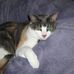 Lucy Pratt - Facebook
