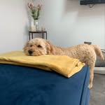 Lucy Pringle - @lucypringle44422 - Instagram