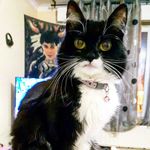 Lucy - @_lucy_queen - Instagram