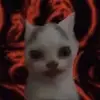 Lucy - @queen...lucy - TikTok