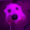 Lucy - @lucyradford6 - TikTok