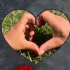 Lucy Ramos - @lucy.ramos34 - TikTok