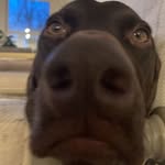 Lucy Ramsey - @lu.cy.goosey_ - Instagram