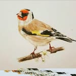 Lucy Randle - @randlesdraws - Instagram