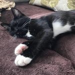 Lucy Rees-Davies - @lucyreesdavies - Instagram