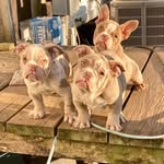 Lucy N Reese - @lucyreese2012 - Instagram