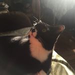 Lucy Regan - @just_lucys_world - Instagram