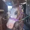 Lucy Roberto - @.screen.strong - TikTok