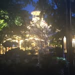 Lucy Robledo - @lightthegoose - Instagram
