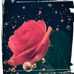Lucy Romo - Facebook