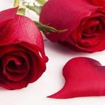 Lucy Roque - Facebook