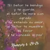 Lucy Roque - @lucy.roque2 - TikTok