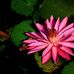 Lucy Rubio - Facebook