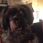 Lucy Ruffing - @lucyruffing - Instagram