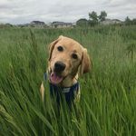 Lucy Ruffing - @lucy.ruffing - Instagram