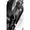 Lucy Rush - @lucyrush - TikTok