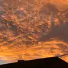 lucyryan595 - @lucyryan595 - TikTok