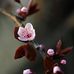 Lucy Salgado - Facebook