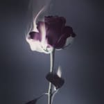 Aesthetics - @lucysalisbury02 - Instagram