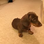Lucy Saunders - @a_day_in_the_life_of_tia - Instagram