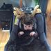 Lucy Saunders - Facebook