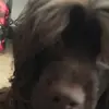 Lucy Sky Schmitz - @lucyskyschmitz - TikTok