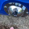 IloveN🤍 - @lucy.schulte8 - TikTok
