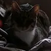 lucy - @lucy.schulte56 - TikTok