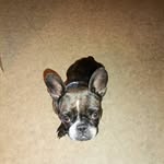 Lucy Rosalie Schumann - @lucyrosalieschumann2012 - Instagram
