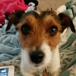 Lucy.LittleBit.Molly.Schuman - @lucy_littlebit_molly_schuman - Instagram