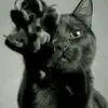 lucyschuster981 - @lucyschuster981 - TikTok