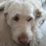 Lucy schwarz - @schwarz254 - Instagram