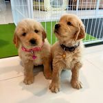 Super Sisters Lucy and Shirley - @_lucy_shirley_ - Instagram