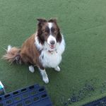 Lucy Simms - @lcsimms2753 - Instagram