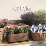 Lucy Simon's Shop - @article_somerset - Instagram