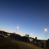 lucy skinner - @lucy.skinner11 - TikTok