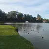 lucy solano - @lucy.solano20 - TikTok