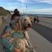 Lucy Standish - Facebook