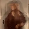 lucy.stout - @lucy.stout - TikTok