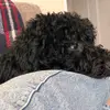 Lucy - @lucy.stratton - TikTok