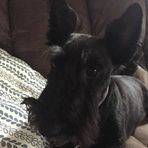 Lucy Stull - Facebook