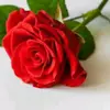 Lucy Suarez - @lucy.suarez577 - TikTok