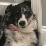Lucy Terrell - @lucy.t1234520 - Instagram