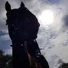 Lucy Terry - @lucy.terry703 - TikTok