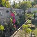 Lucy Testa - Facebook